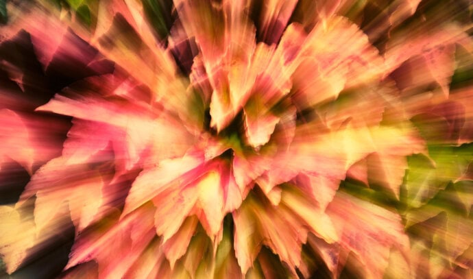 Herbststimmung mit Zoomeffekt